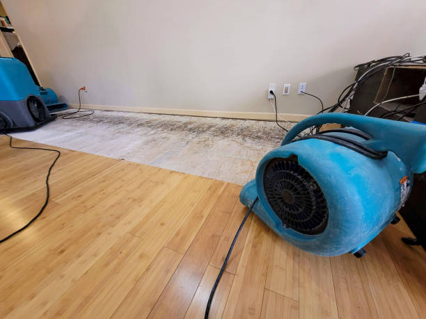 Professional Structural Drying technician working in Pittsburg, CA